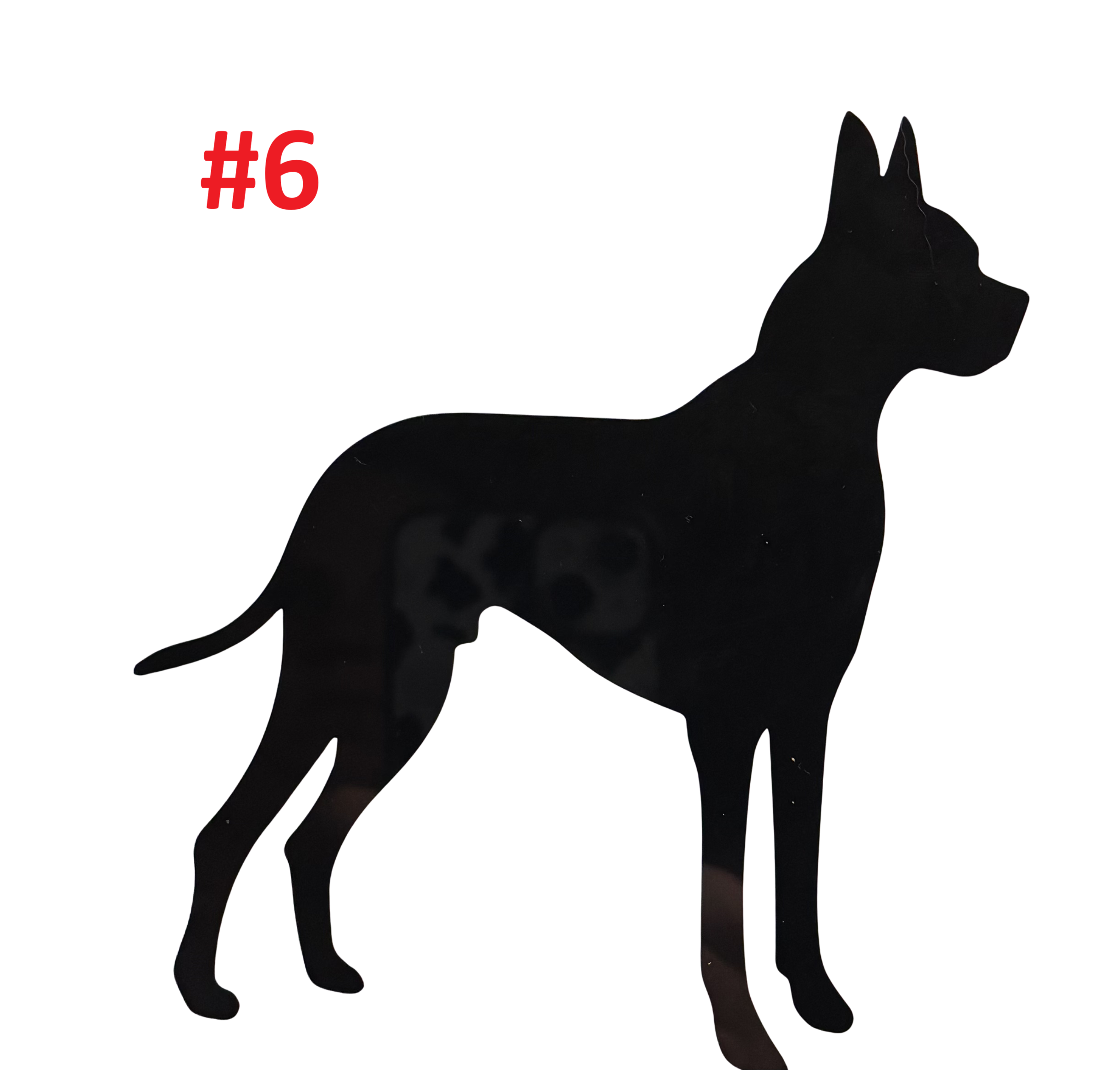 Animal Decals