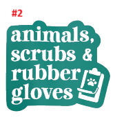 Animal Decals