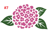 Flower Decals