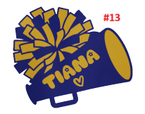 Sports Decals